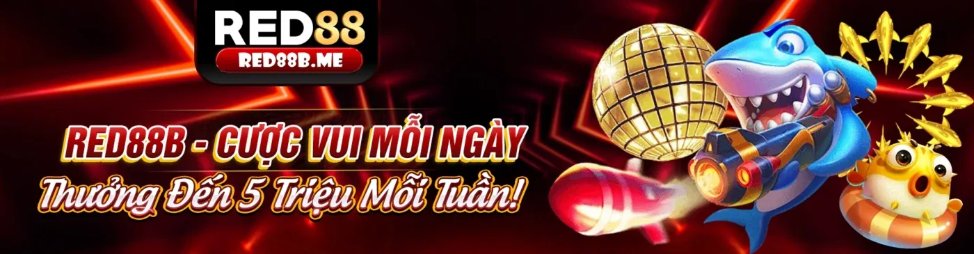 vmn nhà cái: Đảm bảo an toàn, công bằng và cá cược có trách nhiệm