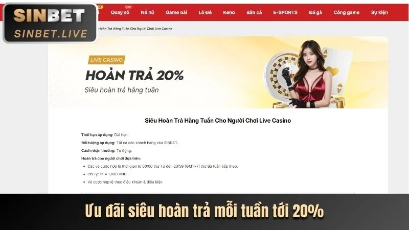 Hoàn trả hàng ngày vmn nhà cái